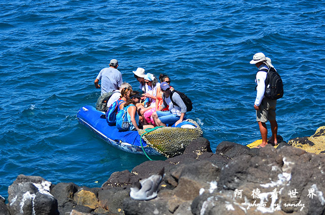 galapagos2 D7000 (22).JPG