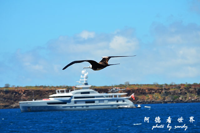 galapagos2 D7000 (152).JPG