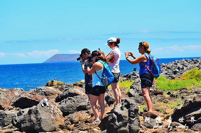 galapagos2 D7000 (176).JPG