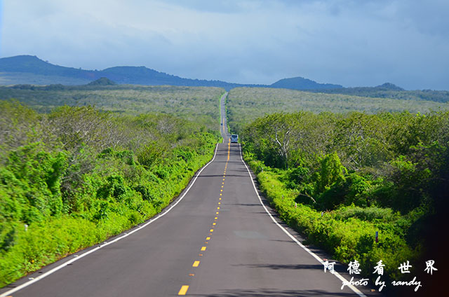 galapagos2 D7000 (225).JPG