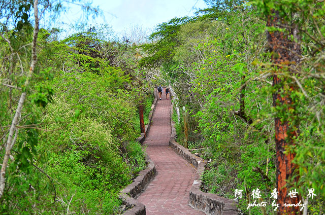 galapagos3D7000 044.JPG