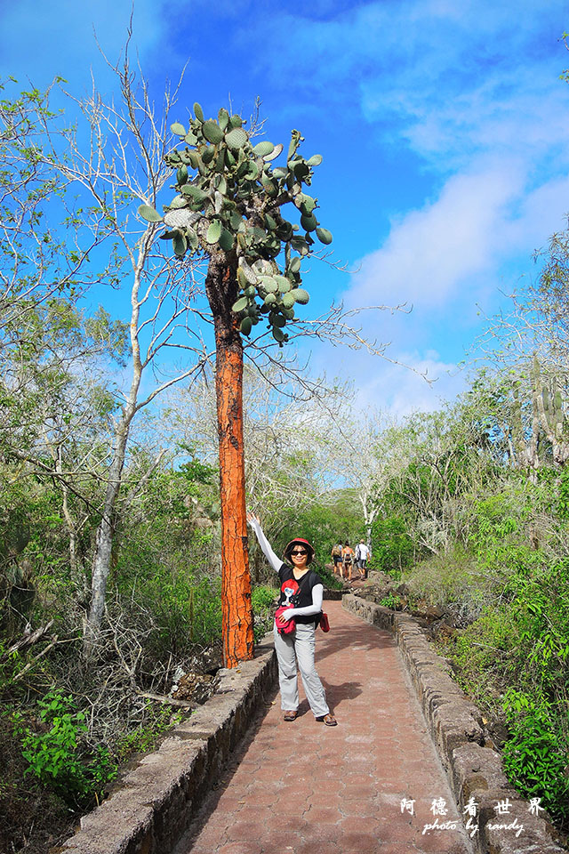 galapagos3P7700 033.JPG