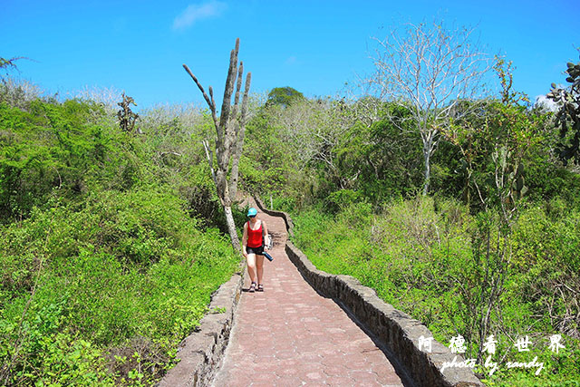 galapagos3P7700 087.JPG