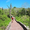 galapagos3P7700 087.JPG