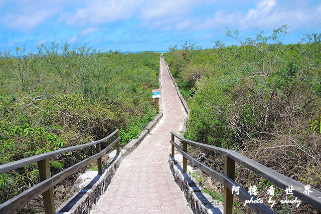 galapagos3P7700 084.JPG