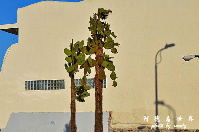 galapagos1D7000 021.JPG galapagos1D7000 021.JPG