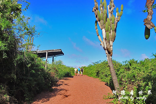 galapagos3P7700 129.JPG