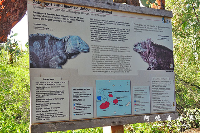 galapagos3P7700 155.JPG