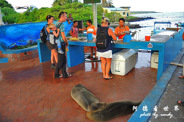 galapagos3P7700 196.JPG