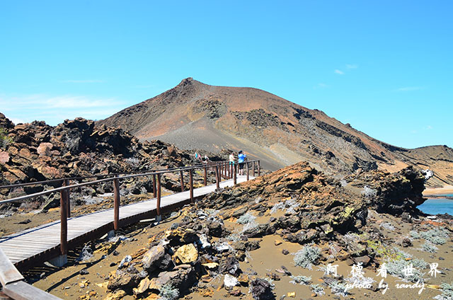 galapagos4D7000 043.JPG