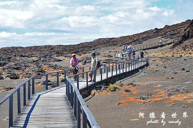 galapagos4D7000 052.JPG