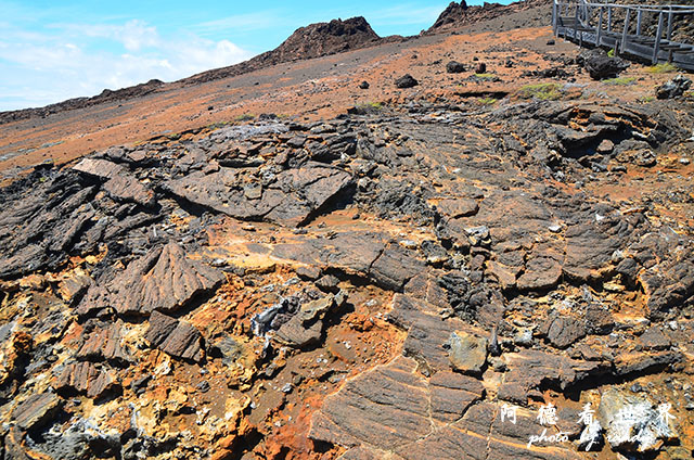 galapagos4D7000 059.JPG