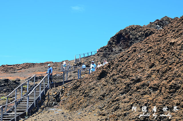 galapagos4D7000 058.JPG