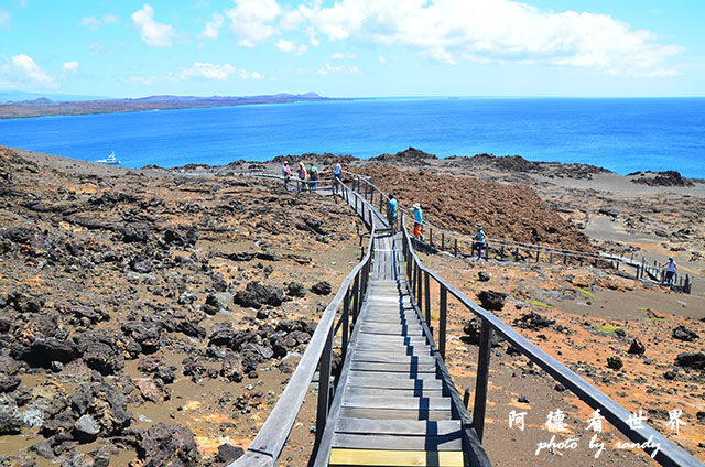 galapagos4D7000 065.JPG