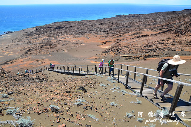 galapagos4D7000 073.JPG