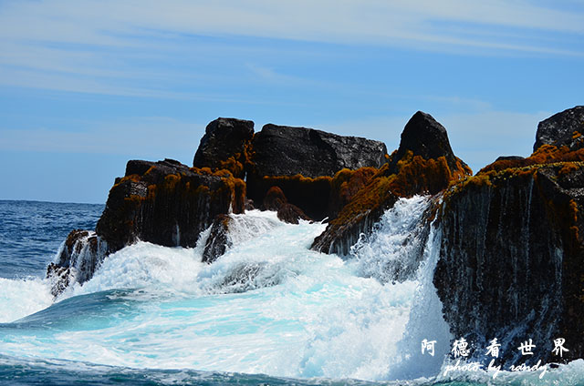 galapagos5D7000 026.JPG