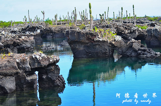 galapagos5D7000 063.JPG