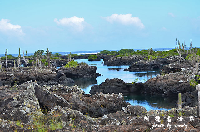 galapagos5D7000 072.JPG