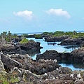 galapagos5D7000 072.JPG