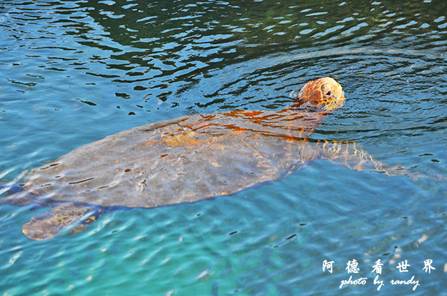 galapagos5D7000 097.JPG