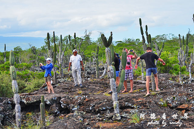 galapagos5D7000 104.JPG