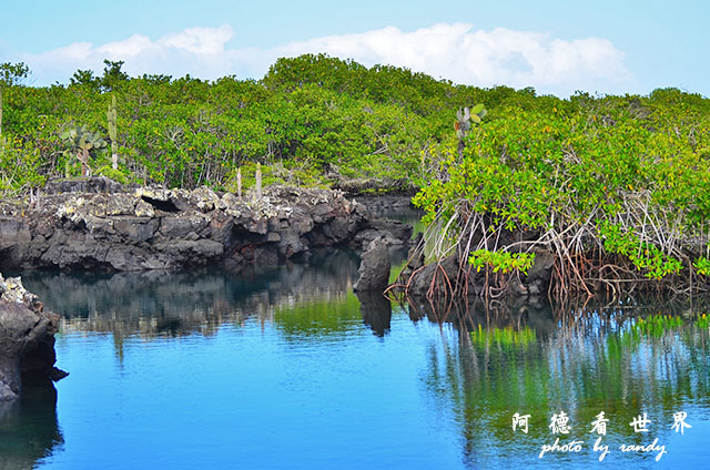 galapagos5D7000 111.JPG