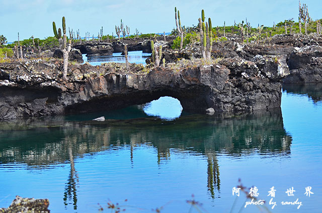 galapagos5D7000 109.JPG