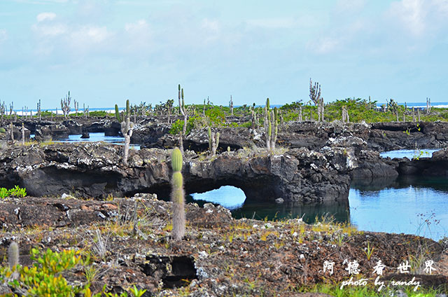 galapagos5D7000 114.JPG