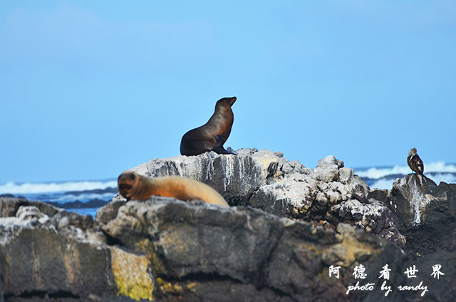 galapagos5D7000 139.JPG