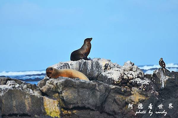 galapagos5D7000 139.JPG