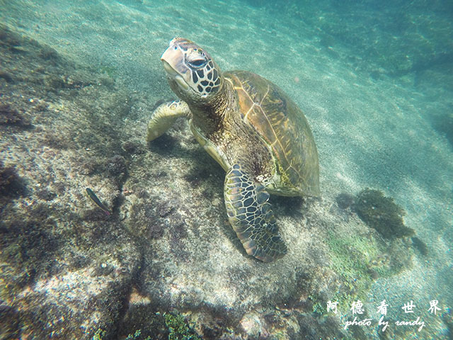 GOPR3391.JPG