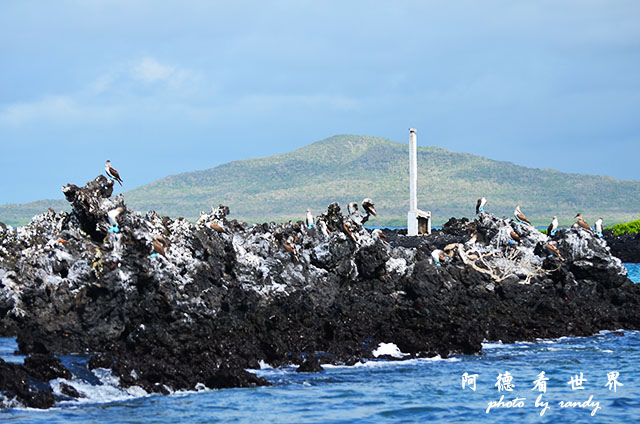 galapagos6D7000 010.JPG