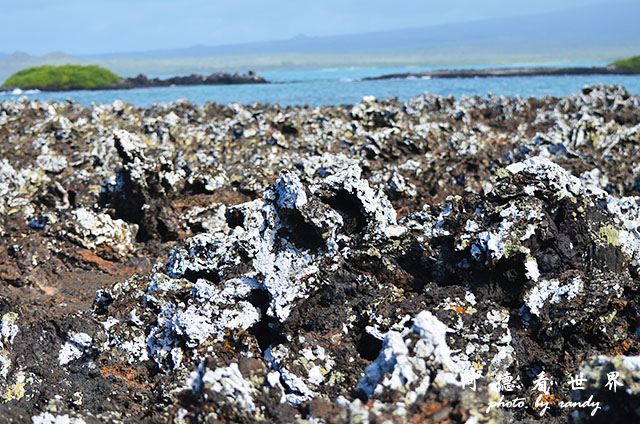 galapagos6D7000 034.JPG