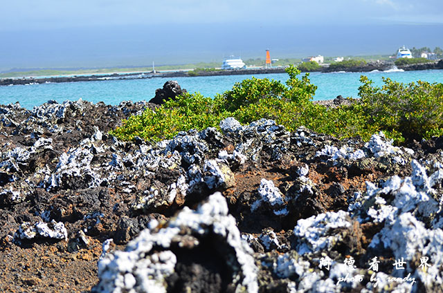 galapagos6D7000 036.JPG