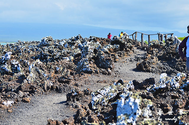 galapagos6D7000 088.JPG