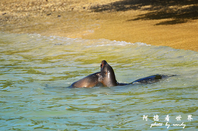 galapagos6D7000 115.JPG