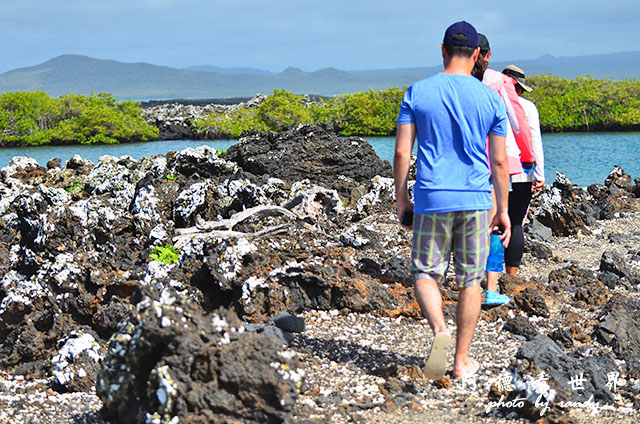 galapagos6D7000 128.JPG