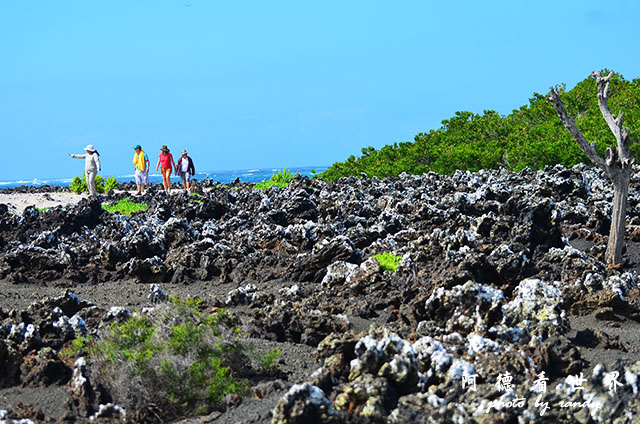 galapagos6D7000 135.JPG