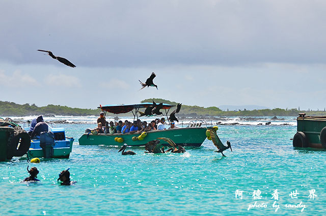 galapagos6D7000 144.JPG