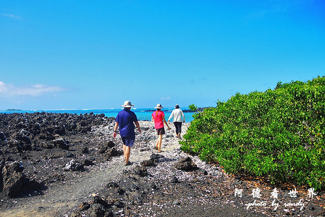 galapagos6P7700 076.JPG