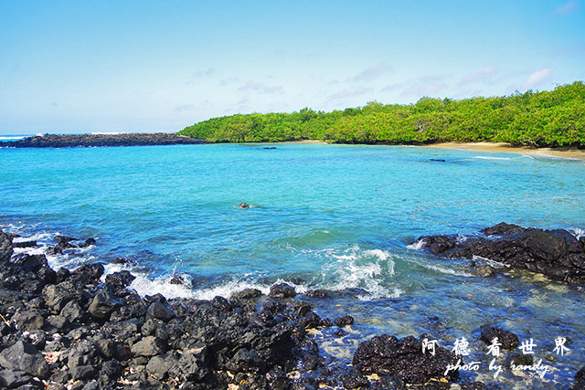 galapagos6P7700 082.JPG