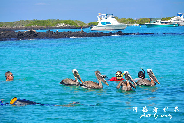 galapagos6P7700 128.JPG