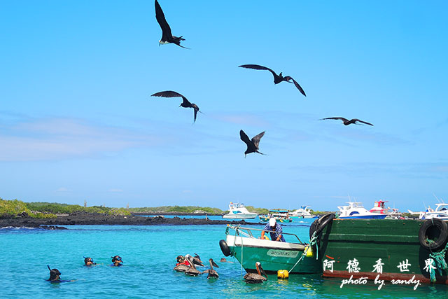 galapagos6P7700 131.JPG