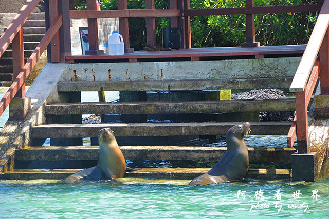 galapagos6P7700 138.JPG