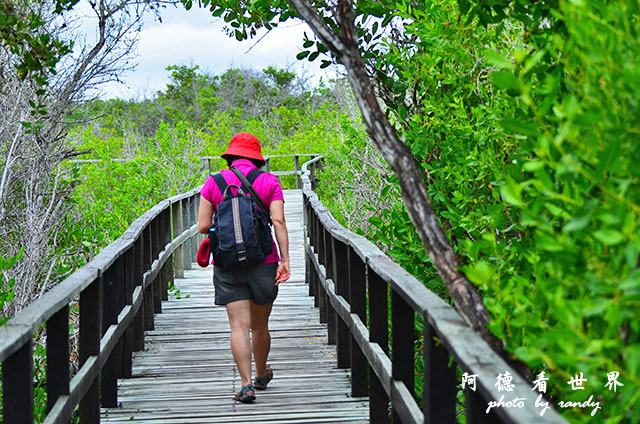 galapagos6D7000 161.JPG