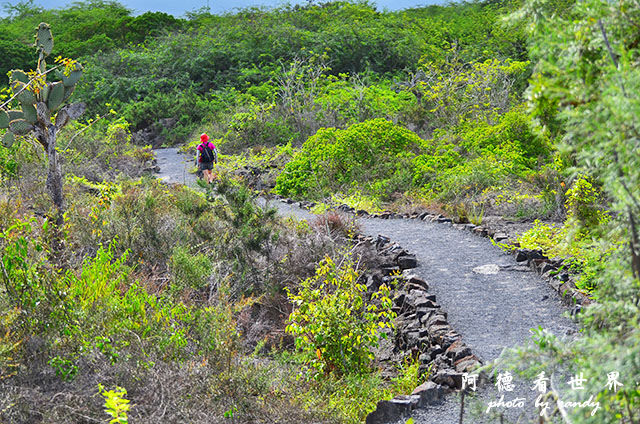 galapagos6D7000 214.JPG