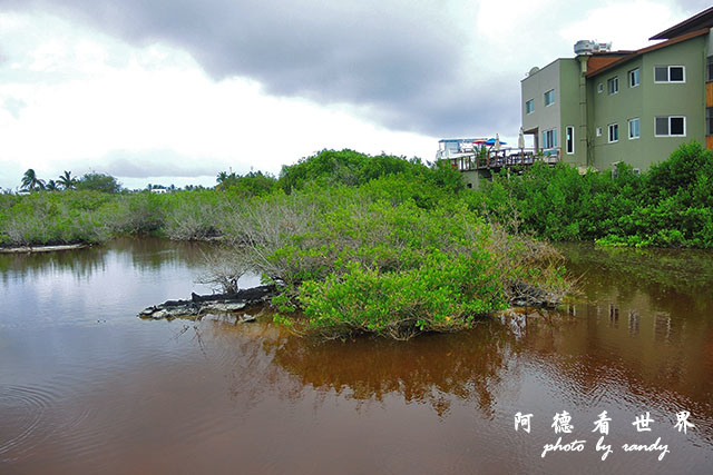 galapagos6P7700 181.JPG