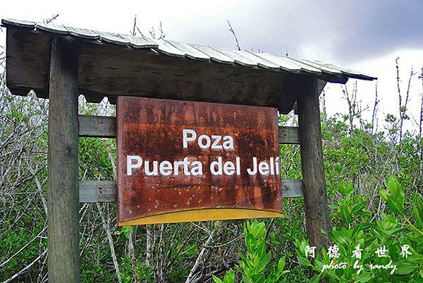 galapagos6P7700 191.JPG