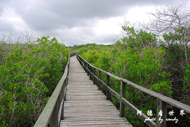 galapagos6P7700 194.JPG