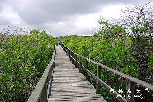 galapagos6P7700 194.JPG